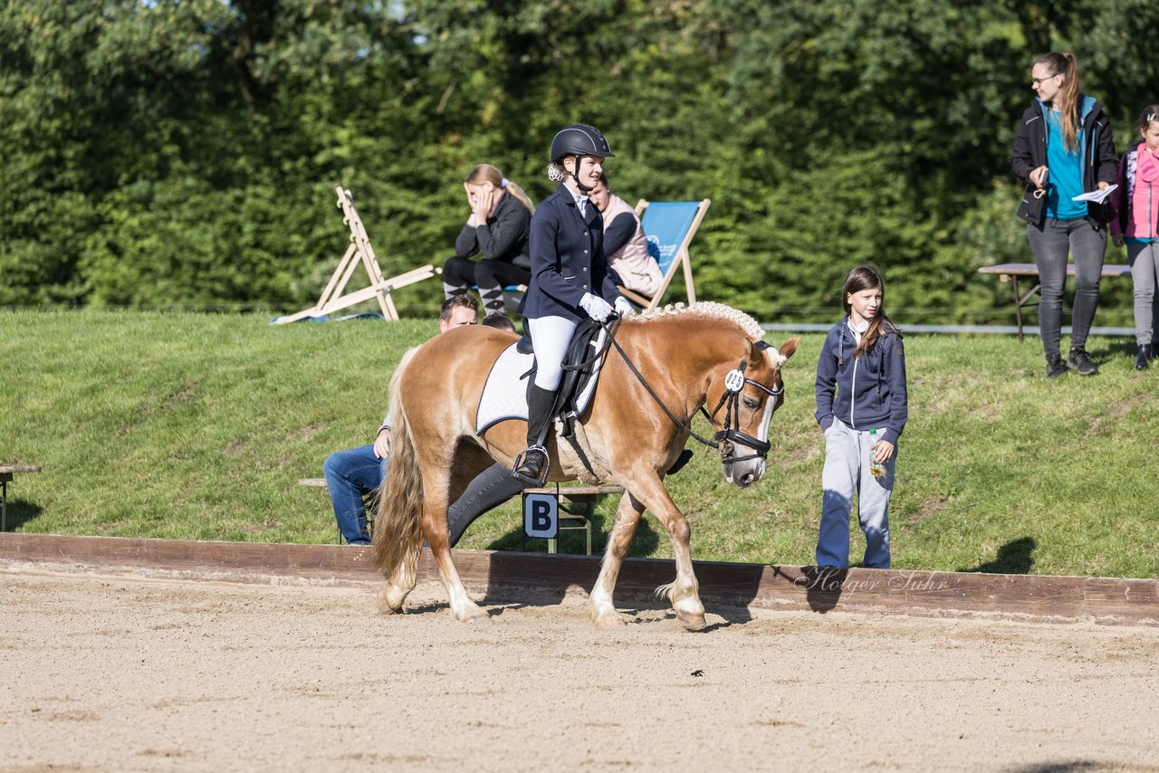 Bild 81 - Pony Akademie Turnier